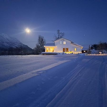 Mountainside Lodge - Breivikeidet Tromsø Zewnętrze zdjęcie