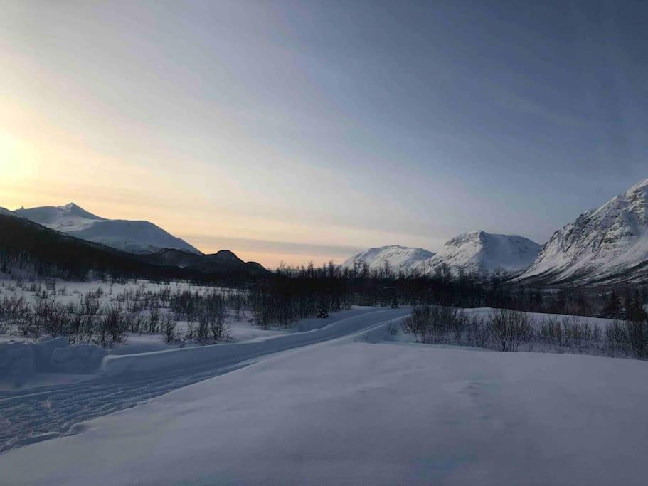 Mountainside Lodge - Breivikeidet Tromsø Zewnętrze zdjęcie
