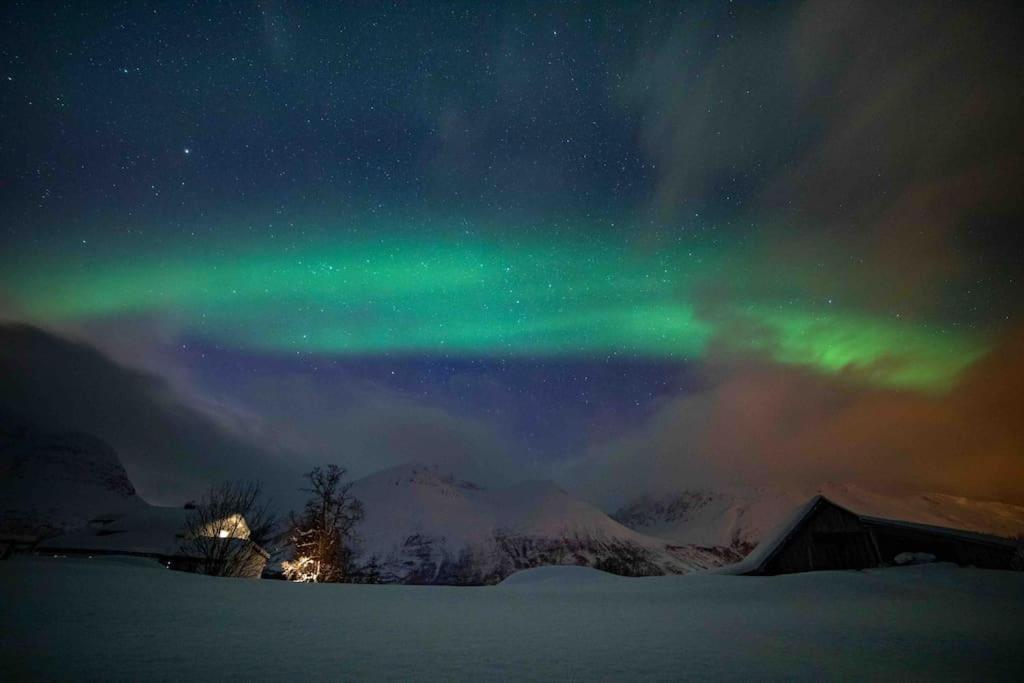 Mountainside Lodge - Breivikeidet Tromsø Zewnętrze zdjęcie