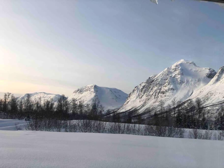Mountainside Lodge - Breivikeidet Tromsø Zewnętrze zdjęcie