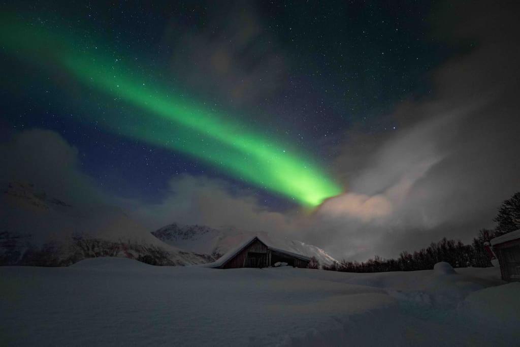 Mountainside Lodge - Breivikeidet Tromsø Zewnętrze zdjęcie