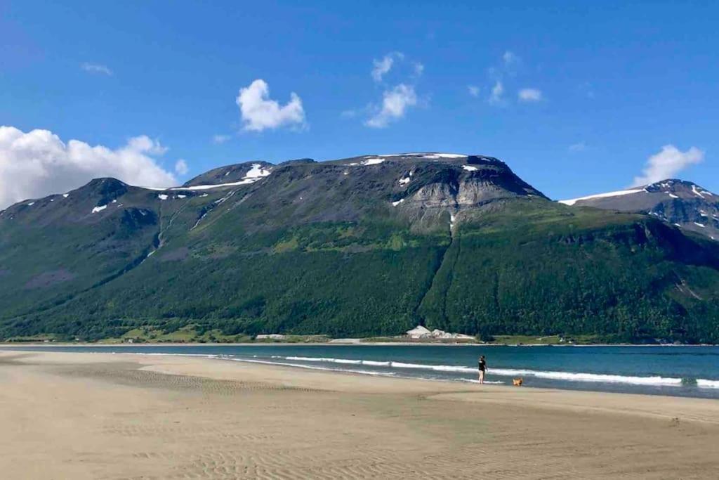Mountainside Lodge - Breivikeidet Tromsø Zewnętrze zdjęcie