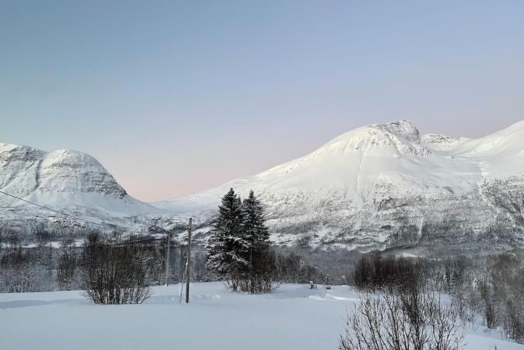 Mountainside Lodge - Breivikeidet Tromsø Zewnętrze zdjęcie