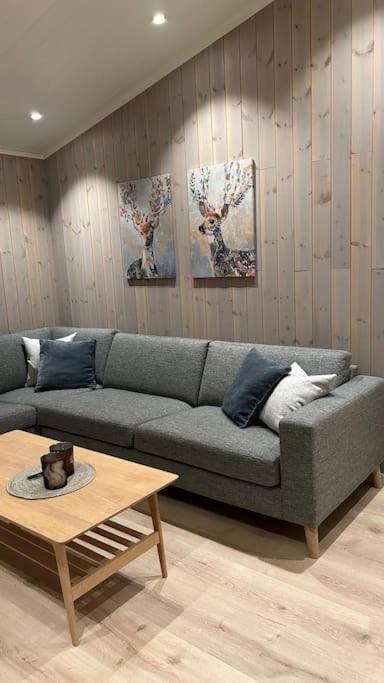 Mountainside Lodge - Breivikeidet Tromsø Zewnętrze zdjęcie