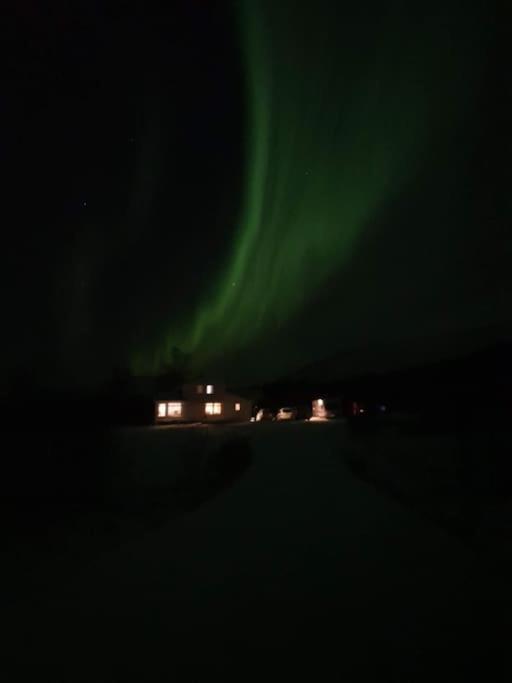 Mountainside Lodge - Breivikeidet Tromsø Zewnętrze zdjęcie