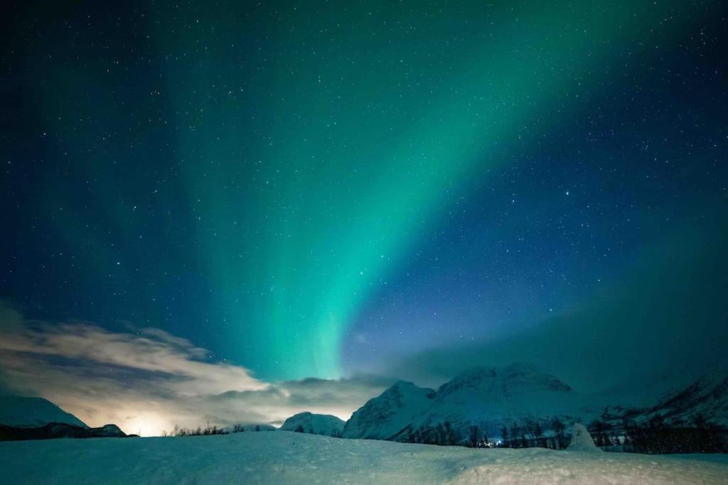 Mountainside Lodge - Breivikeidet Tromsø Zewnętrze zdjęcie
