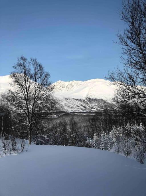 Mountainside Lodge - Breivikeidet Tromsø Zewnętrze zdjęcie