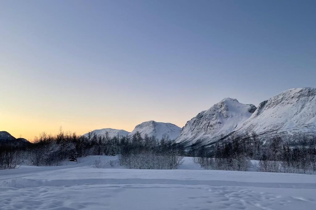 Mountainside Lodge - Breivikeidet Tromsø Zewnętrze zdjęcie