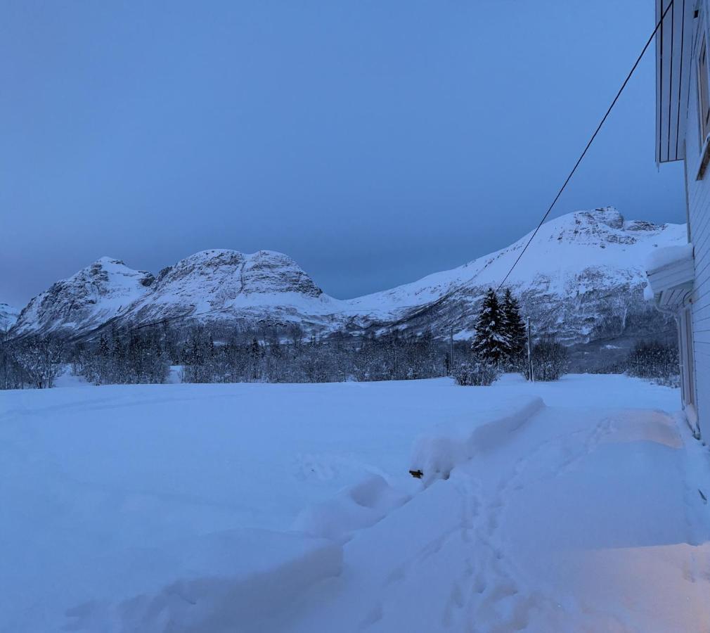 Mountainside Lodge - Breivikeidet Tromsø Zewnętrze zdjęcie