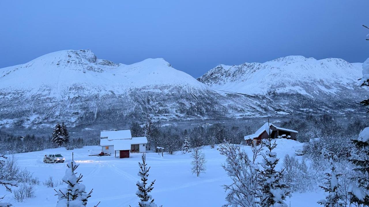 Mountainside Lodge - Breivikeidet Tromsø Zewnętrze zdjęcie