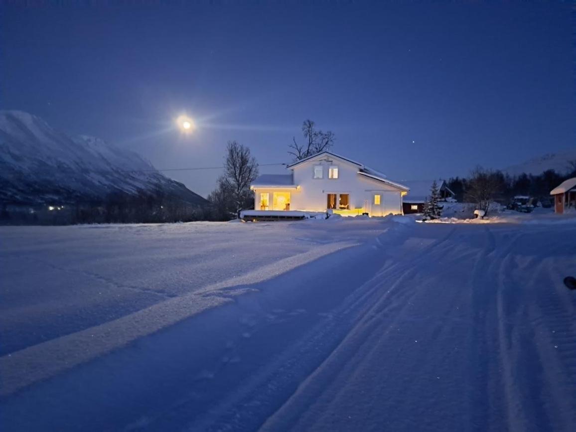 Mountainside Lodge - Breivikeidet Tromsø Zewnętrze zdjęcie